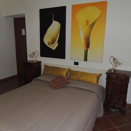 Agriturismo Podere Borgognano Massa Marittima Cameră foto