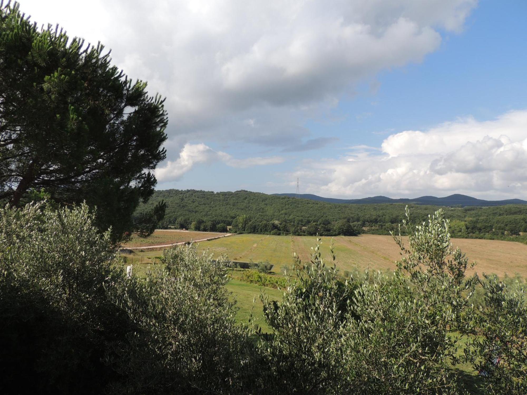 Agriturismo Podere Borgognano Massa Marittima Cameră foto